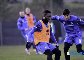 Abdallah Basit starts training with Pescara teammates