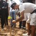 Black Stars plant trees in Cape Coast ahead of Ivory Coast clash