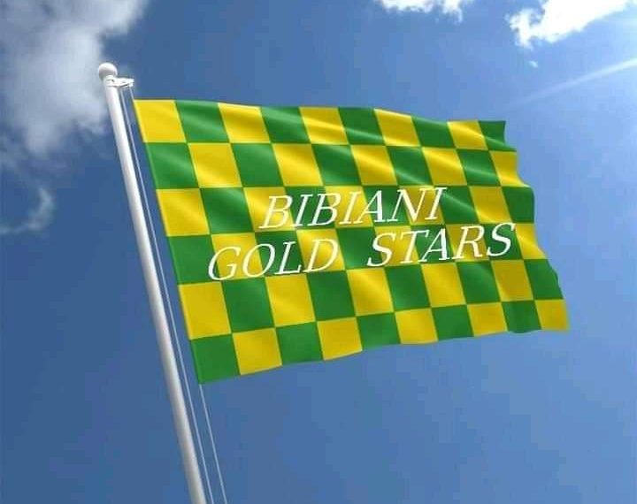 Congratulations: Gold Stars Seal Historic Premier League Qualification for the very first time