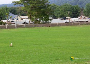 Gold Stars “Duns Park” sees massive improvement ahead of Ghana Premier League start