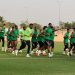 Nigeria Football Federation releases Super Eagles provisional squad to face Ghana