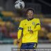 Anthony Elanga chooses Sweden over Cameroon, England