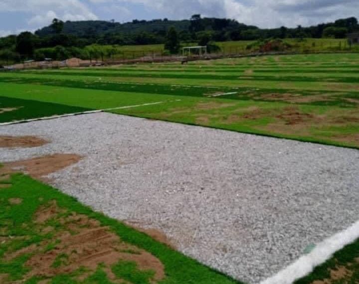 Thieves who stole astroturf to decorate their rooms arrested