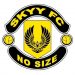 Nations FC, WAFA, files protest against Skyy for fielding unqualified player