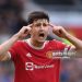 Rejuvenated Harry Maguire wins November EPL Player of the Month