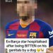 Ex-Barcelona midfielder hospitalized after dog bites genitals
